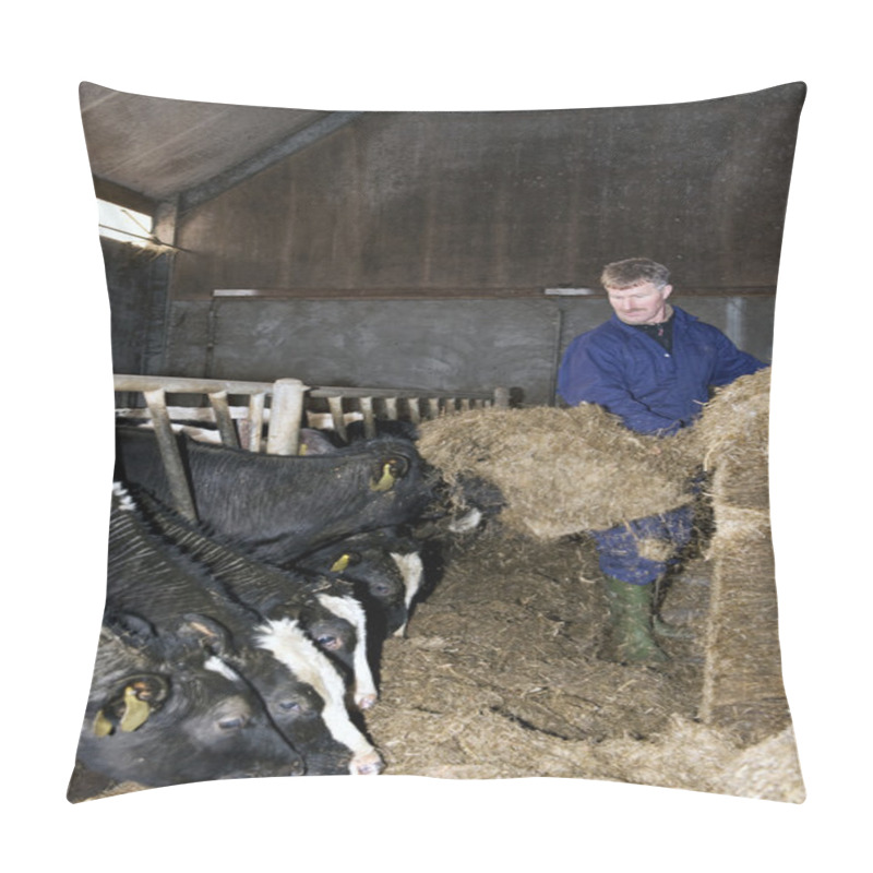 Personality  Feeding Cattle Pillow Covers