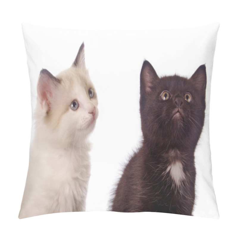 Personality  Black And White - Two Kittens Pillow Covers