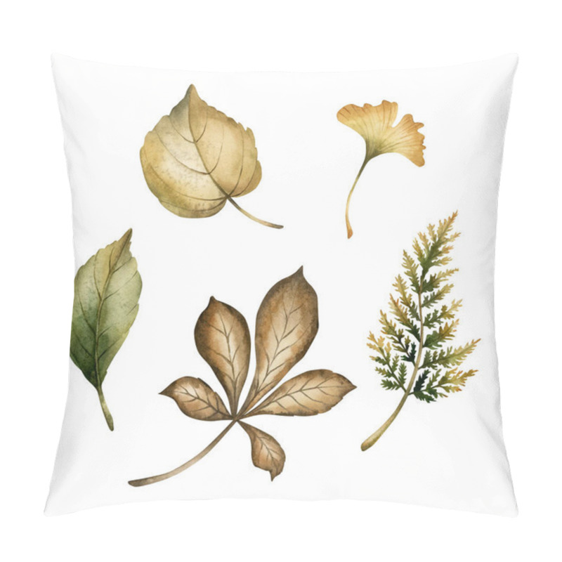 Personality  Leaves Of Chestnut, Birch, Fern And Ginko. Set Of Autumn Foliage. Watercolor Hand Drawn Floral Illustration Isolated On White Background For Fall Design, Botanical Cards, Cozy Prints, Floral Labels Pillow Covers