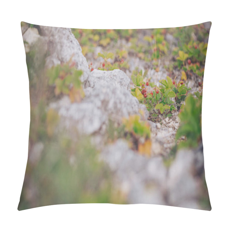 Personality  Small Red Wild Strawberries Grow On The Branches. Wild Strawberries Growing On The Mountain Slope.  Wild Strawberries Growing In A Natural Environment. Ripe Berry Growing On The Stone. Pillow Covers