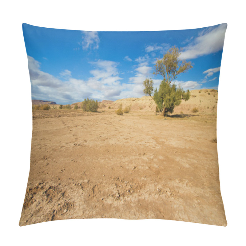 Personality  Tree In The Desert Pillow Covers