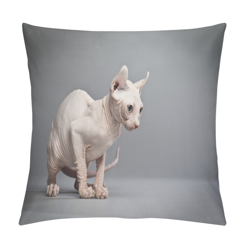 Personality  Inquisitive Hairless Cat Pillow Covers