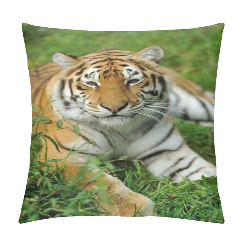 Personality  Tiger Pillow Covers