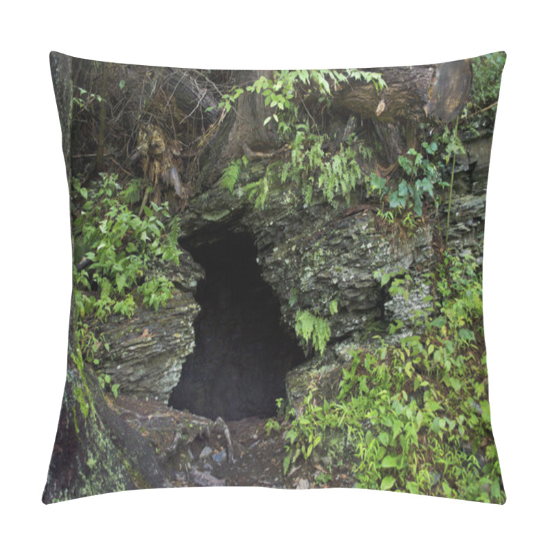 Personality  Cave In The Woods Pillow Covers