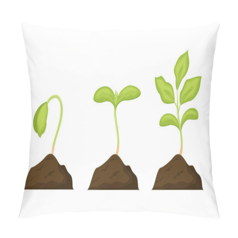 Personality  Seeds Sprouts In A Soil Vector Illustration Isolated On White Background. Phases Plant Growing. Seedling Gardening Plant.  Pillow Covers