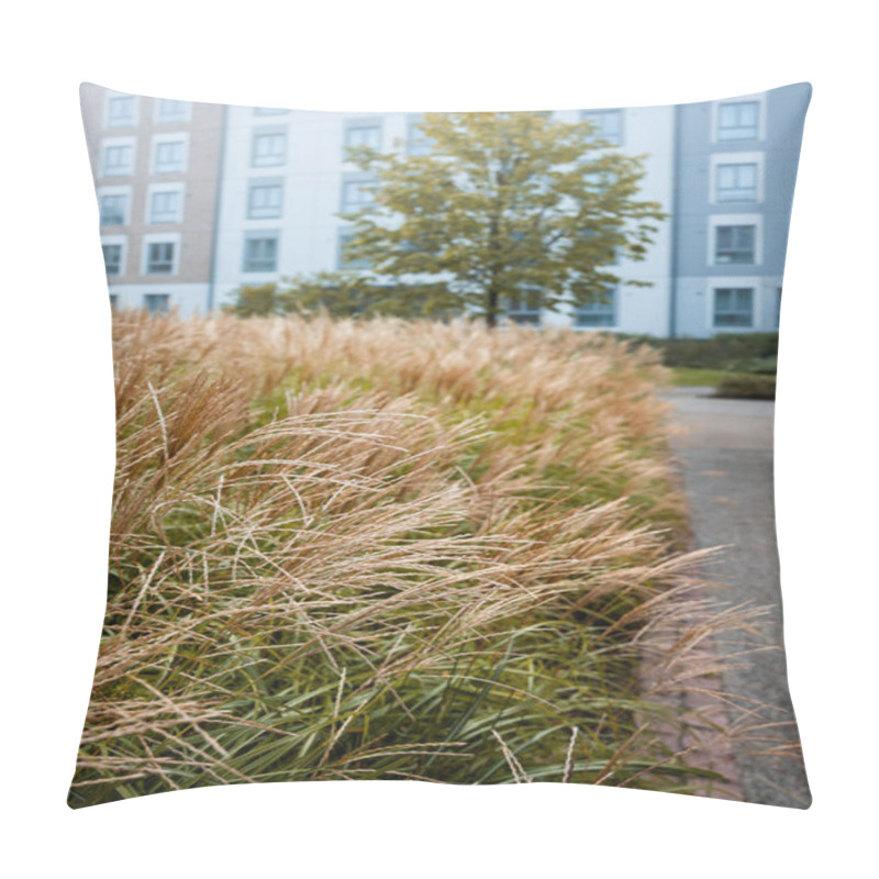 Personality  A Light Blue And White Residential Building Stands In An Urban Area. Ornamental Grasses With Feathery Plumes And A Single Tree Enhance The Landscape. Pillow Covers