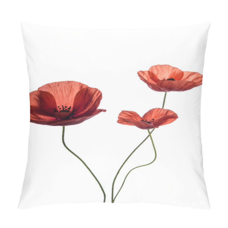 Personality  Bouquet Of Red Poppies Isolated On White Background. Field Wild Flowers.Spring Time. Pillow Covers