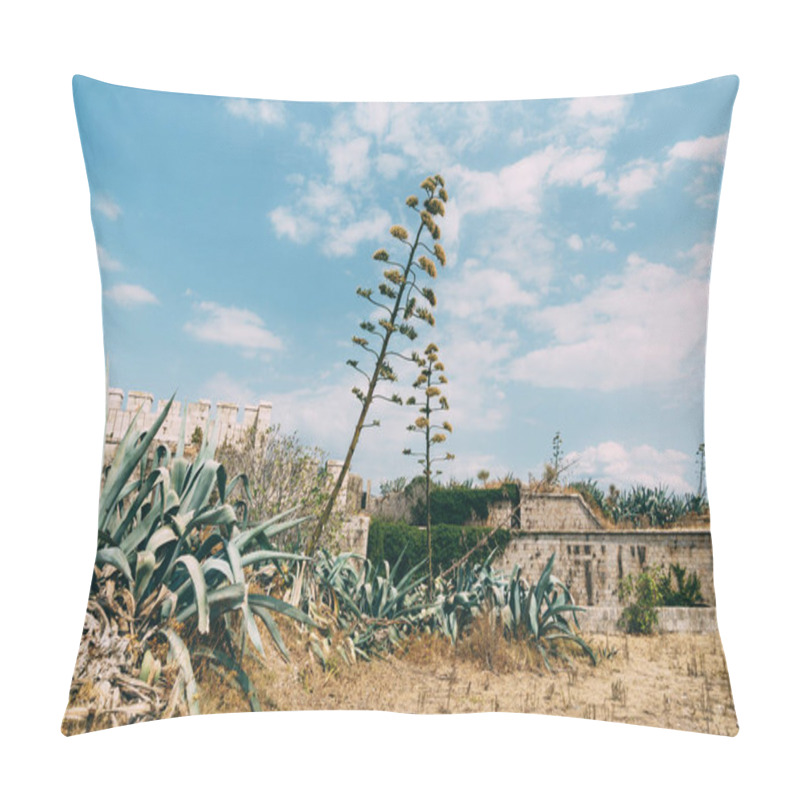 Personality  Tall Agave And Overgrown Young Bushes By An Old Brick Overgrown Building On Dry Ground Against A Blue Sky With Clouds. Pillow Covers