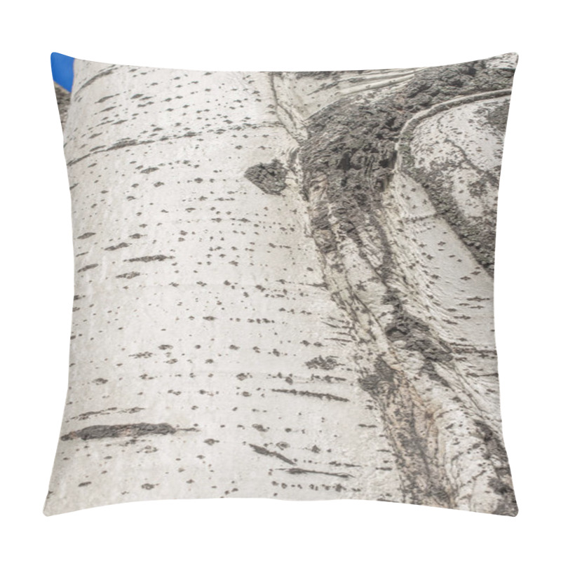 Personality  Populus Tremula, Aspen Tree, European Aspen Or Quaking Aspen Tree Pillow Covers