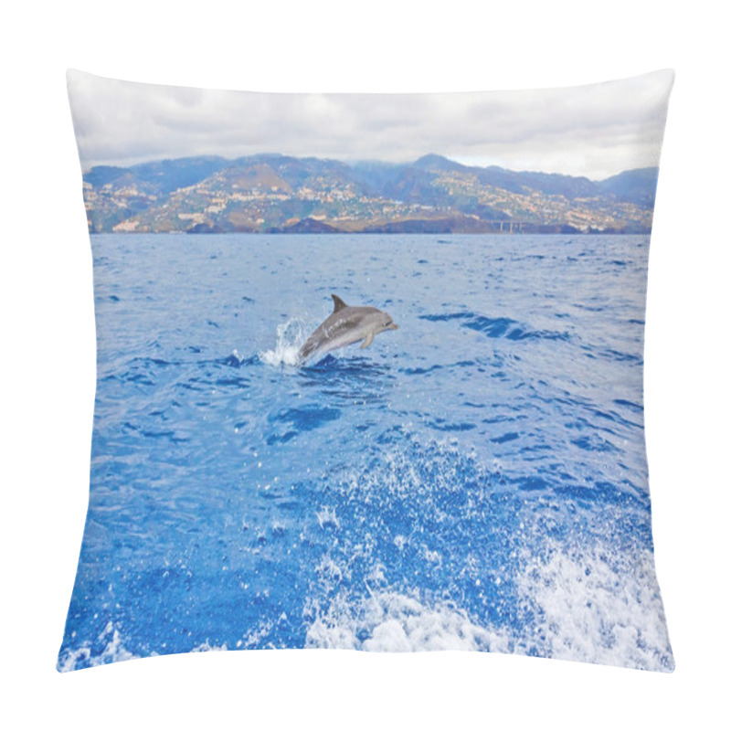 Personality  Dolphin - Madeira Island In The Background Pillow Covers