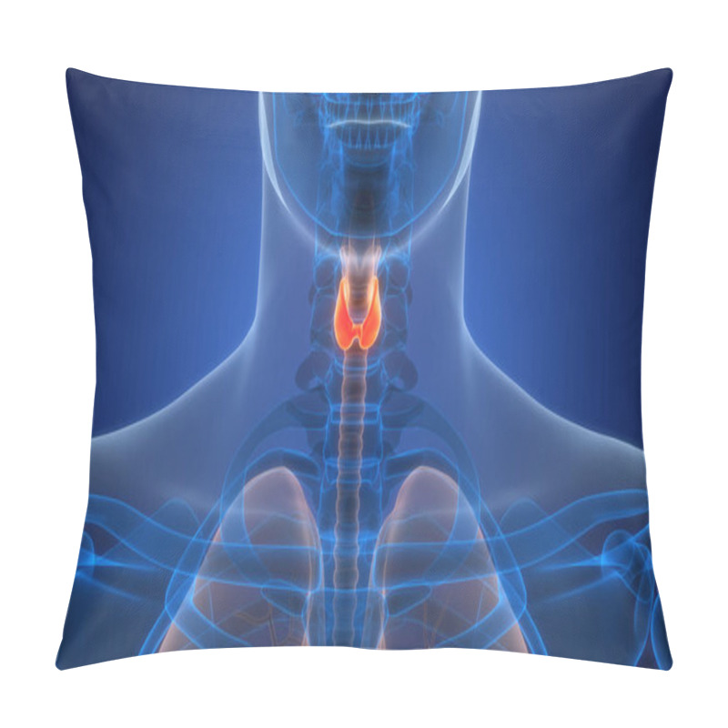 Personality  Human Body Glands Thyroid Gland Anatomy. 3D  Pillow Covers