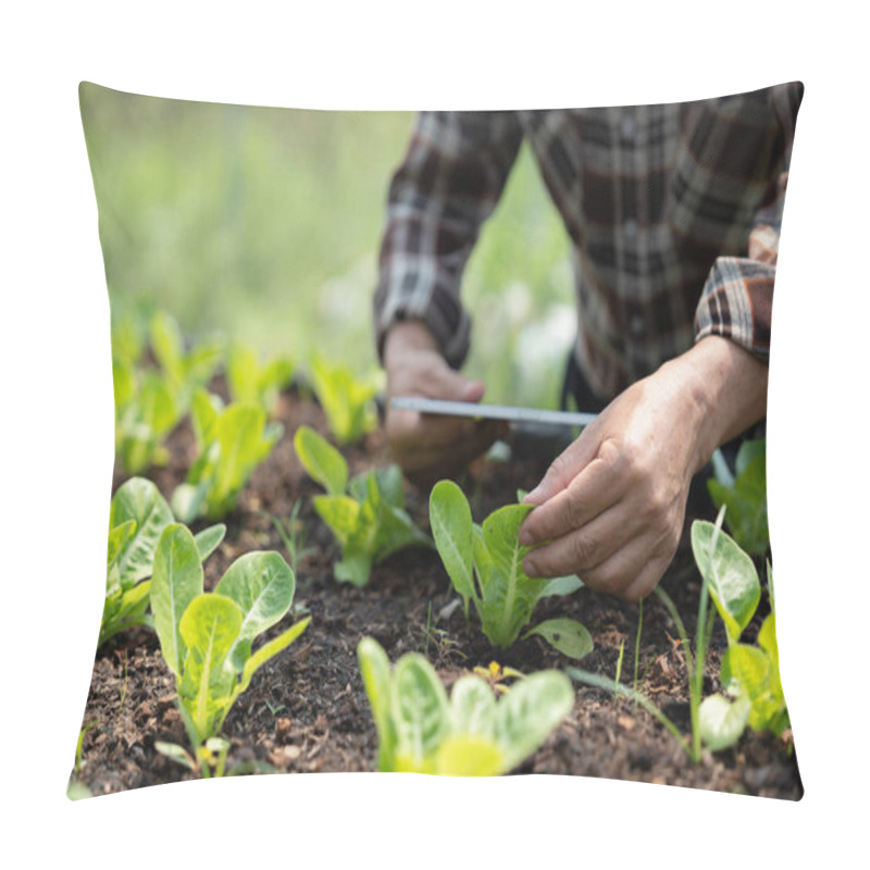 Personality  Close Up Business Owner Observes About Growing Organic Arugula On Hydroponics Farm With Tablet On Aquaponic Farm, Concept Of Growing Organic Vegetable. Pillow Covers