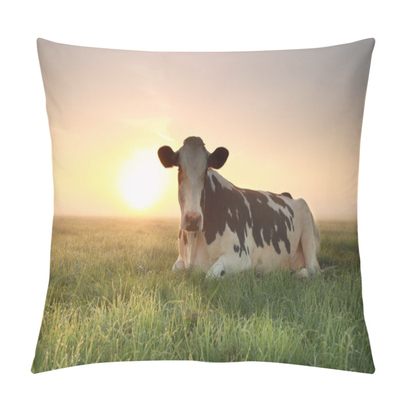 Personality  Relaxed Cow On Pasture At Sunrise Pillow Covers