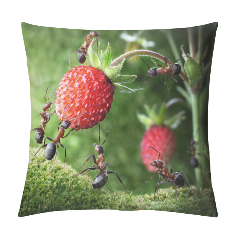 Personality  Team Of Ants Picking Wild Strawberry, Agriculture Teamwork Pillow Covers