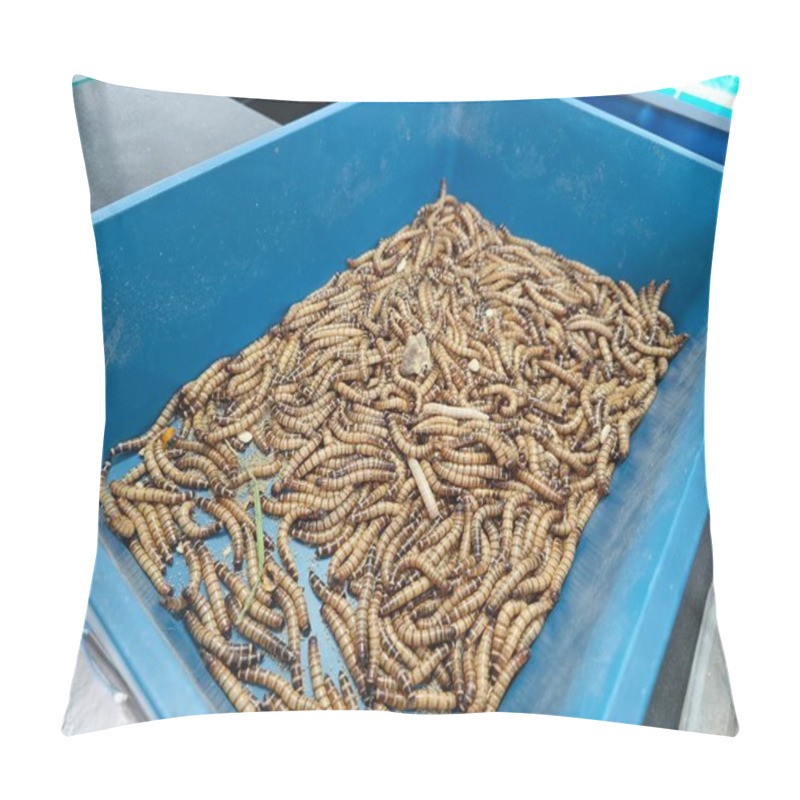 Personality  Living Mealworms For Fishing Bait.  Pillow Covers