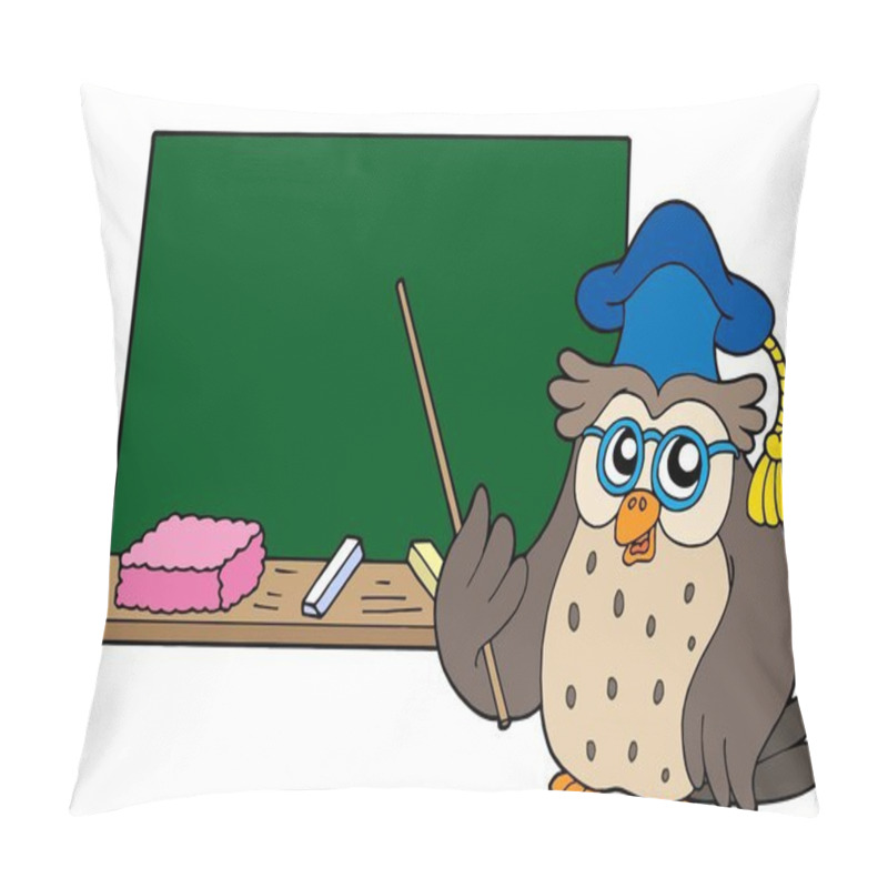 Personality  Owl Teacher With Blackboard Pillow Covers