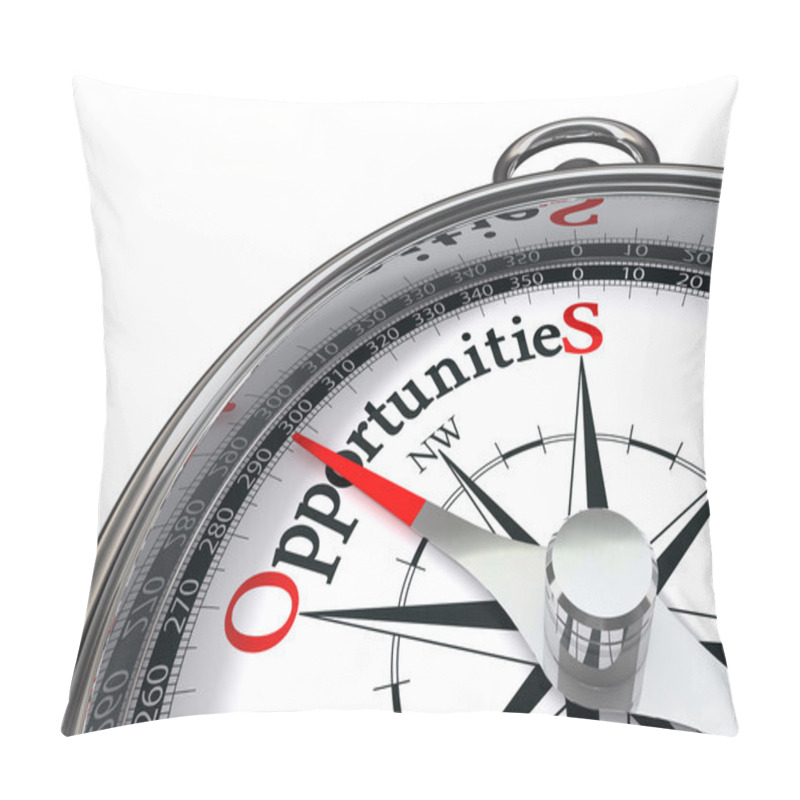 Personality  Opportunities Concpept Compass Pillow Covers