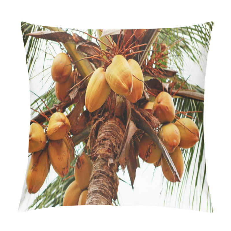 Personality  Thai Coconuts Pillow Covers