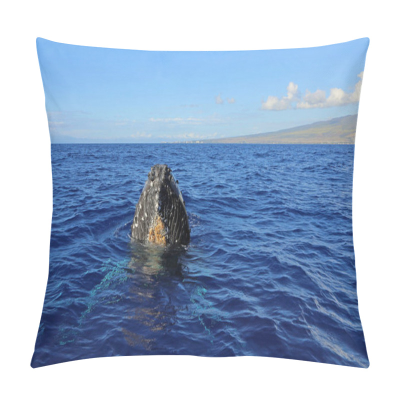 Personality  Maui And Whales Head - Humpback Whale, Maui, Hawaii Pillow Covers