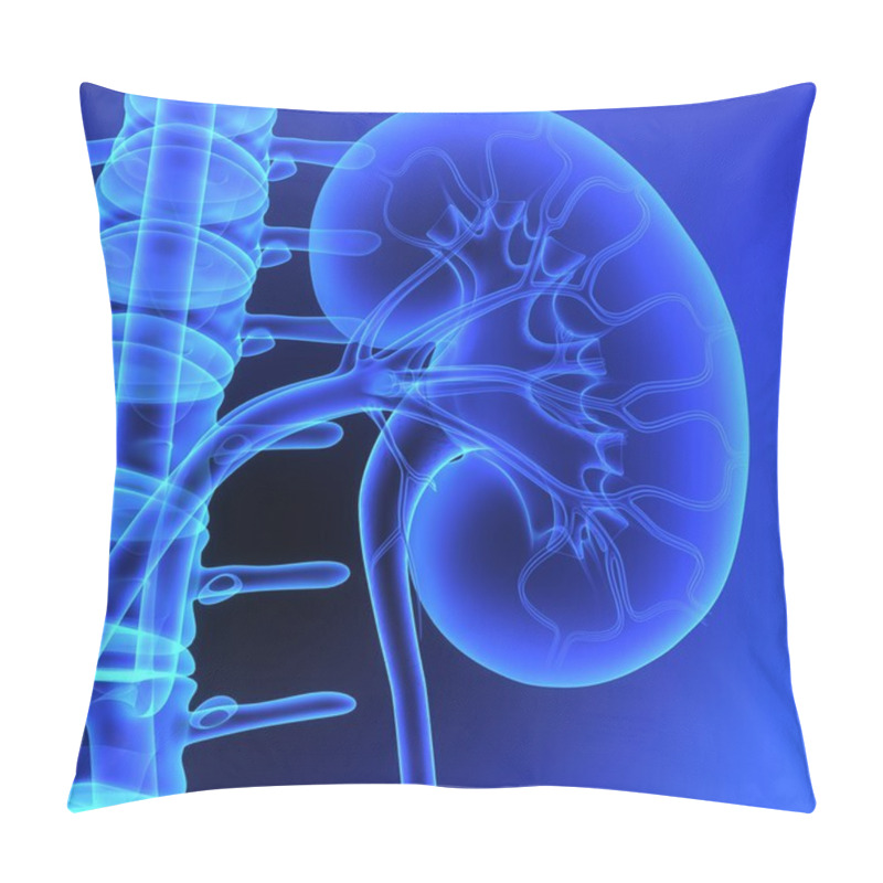 Personality  Kidneys Pillow Covers