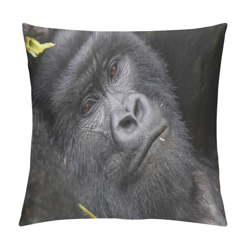 Personality  Guhonda Silverback Gorilla Full Size Portrait  Pillow Covers