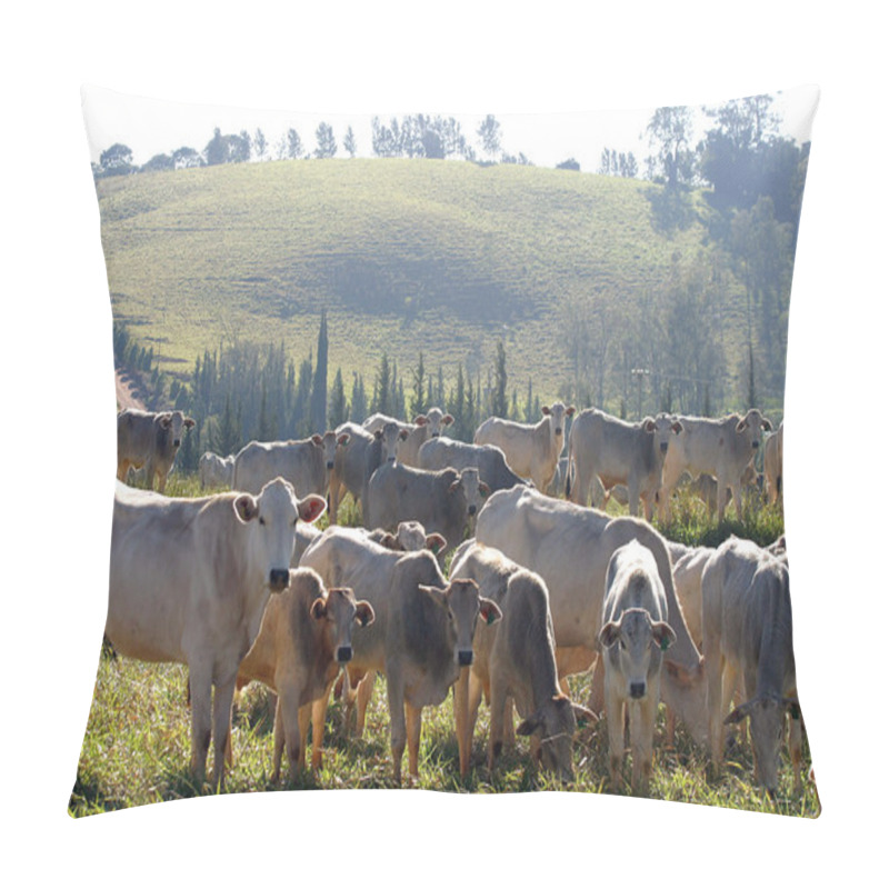 Personality  Cattle Pillow Covers