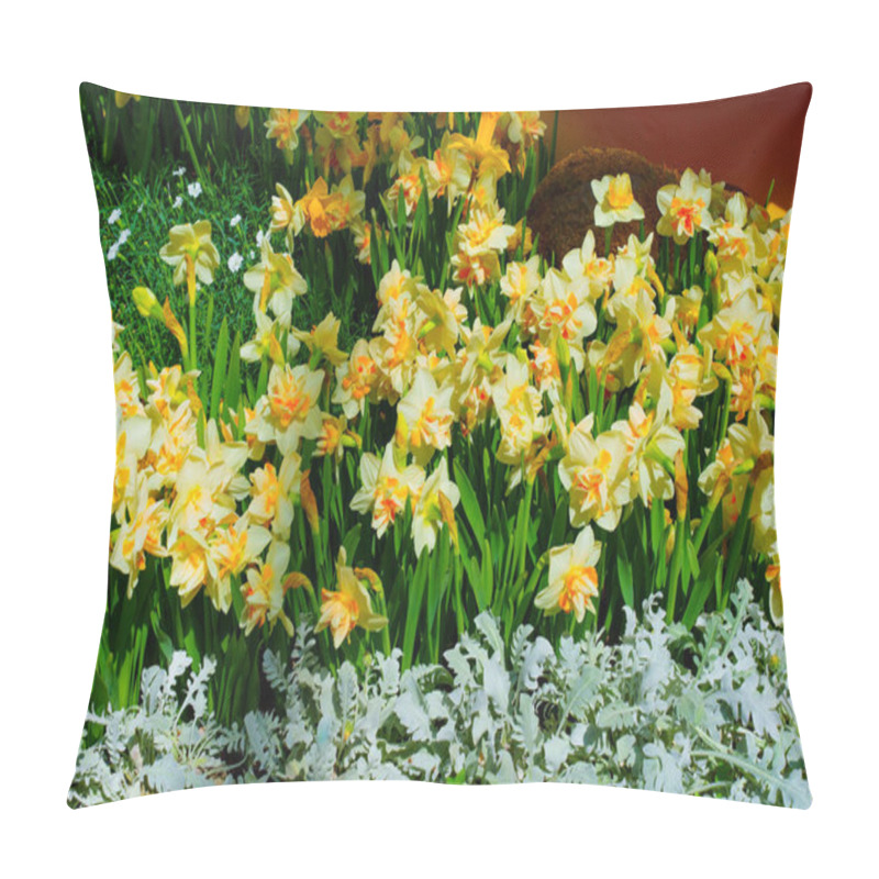 Personality  Beautiful Display Of Yellow Daffodils Surrounded By Green Foliage And White Plants In A Garden Setting. Pillow Covers