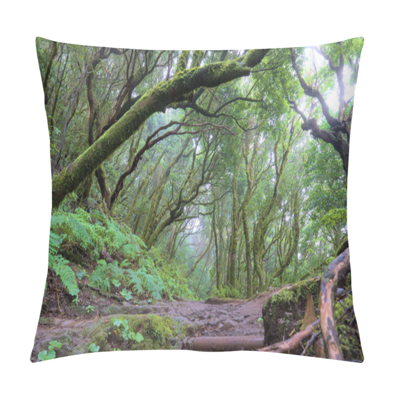 Personality  Beautiful Green Enchanted Forest. Ancient Woods. Magical Teal Rain Forest. Lush Foliage. Organic Background.  Pillow Covers