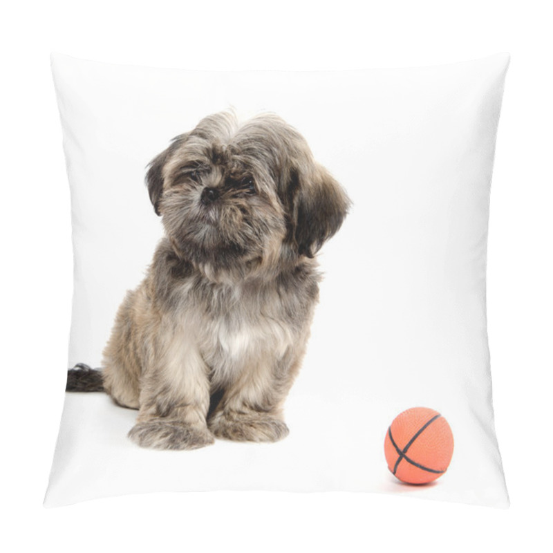 Personality  Shih Tzu Playing With Ball Pillow Covers