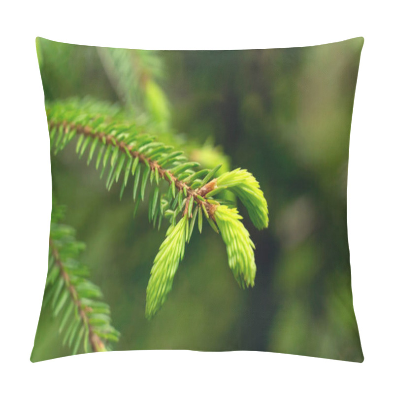 Personality  Young Spring Shoots Of A Spruce Branch Are Bright Green On A Blurred Background Close-up, Copy Space. Fresh Cones On A Green Fir Tree. Pillow Covers