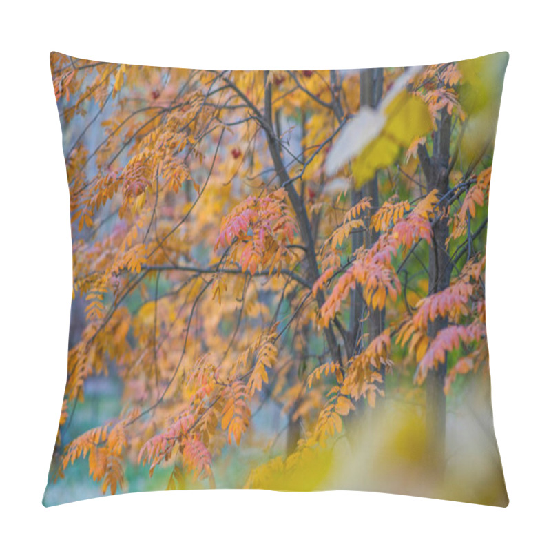 Personality  The Delicate Details Of Orange-tinged Leaves On A Branch, Set Against A Blurred Backdrop Of Autumnal Foliage, A Harmonious Dance Of Fall's Fiery Hues. Pillow Covers