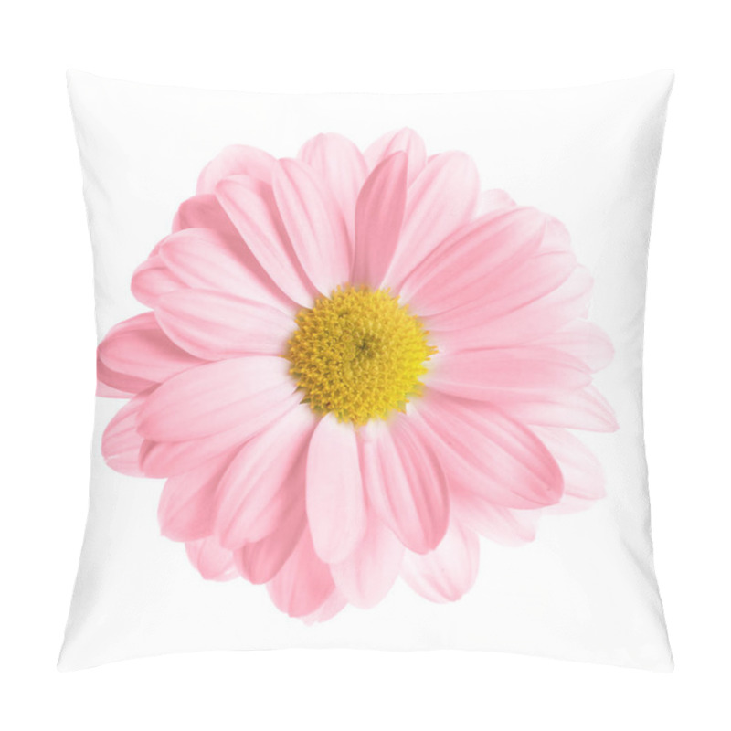 Personality  Beautiful Pink Chrysanthemum Flower On White Background, Top View Pillow Covers