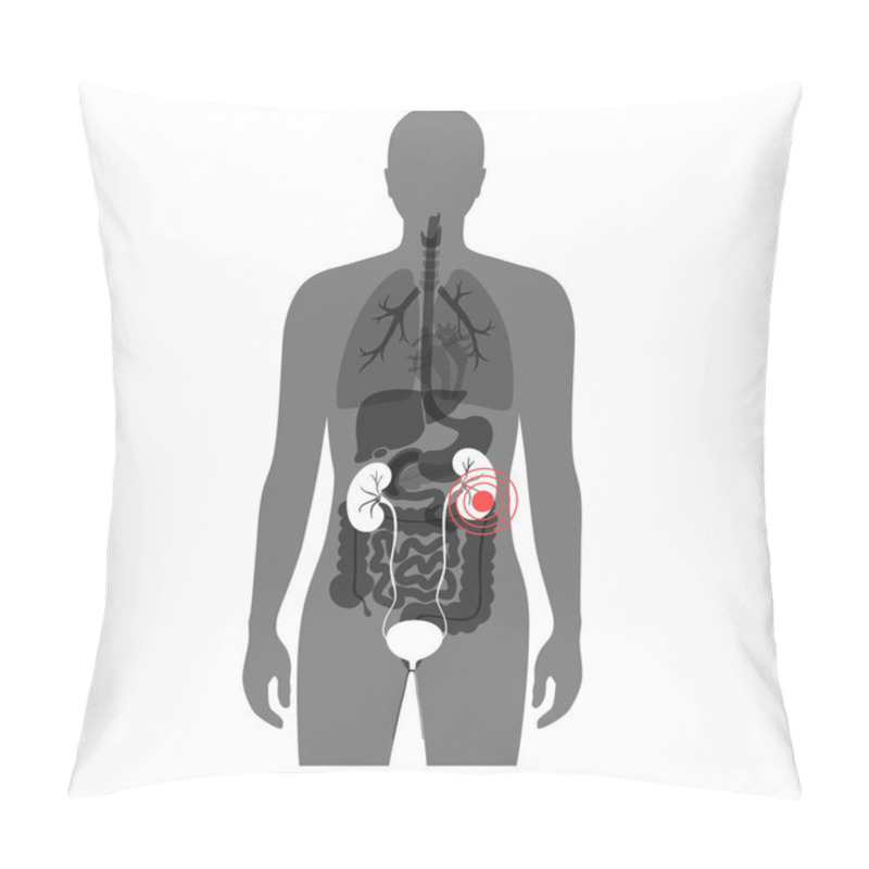 Personality  Vector Illustration Of Kidney Pillow Covers