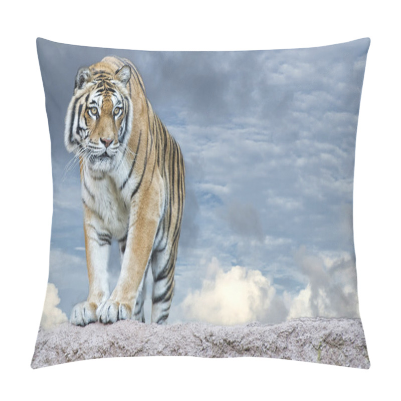 Personality  Siberian Tiger Ready To Attack Looking At You Pillow Covers