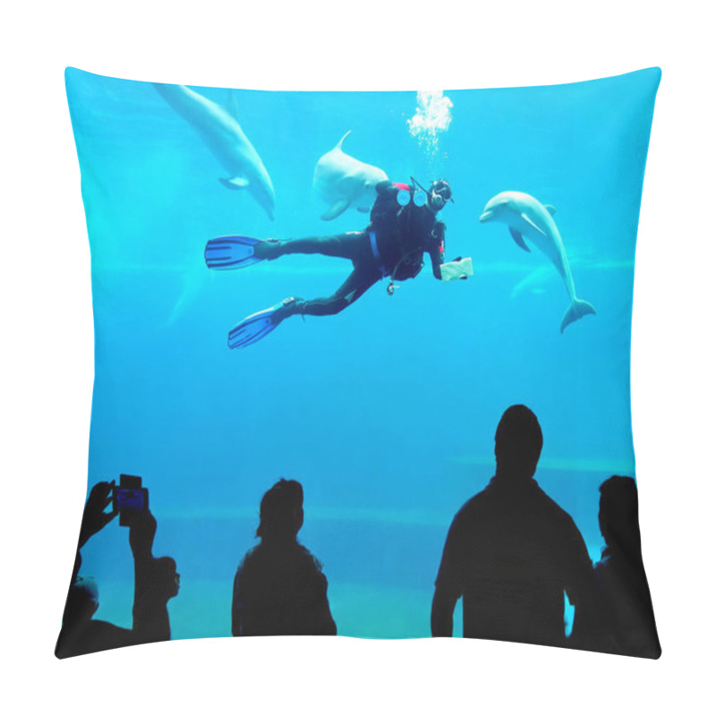 Personality  Diver Cleaning Bath Dolphins Aquarium Genoa Italy Pillow Covers