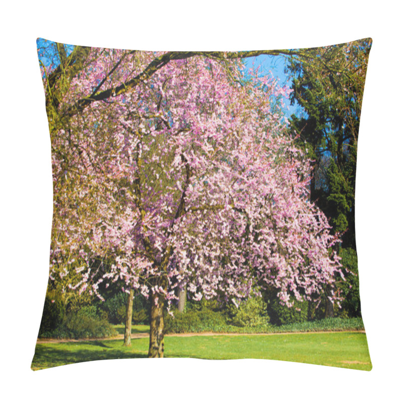 Personality  Sakura Flowers Blooming. Beautiful Pink Cherry Blossom  Pillow Covers