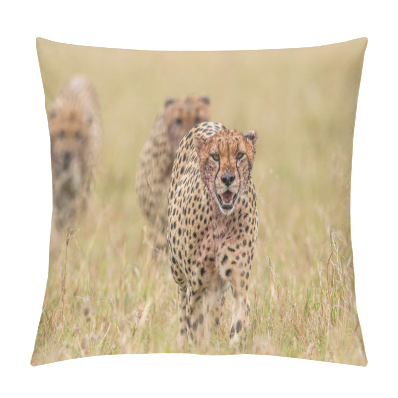 Personality  Cheetah In Masai Mara National Reserve Pillow Covers