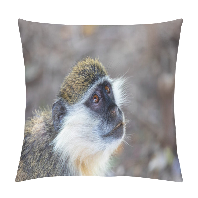 Personality  Vervet Monkey In Awash, Ethiopia Pillow Covers