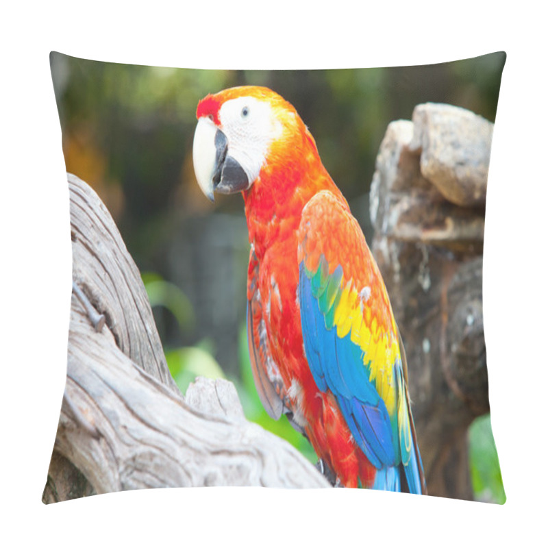 Personality  Scarlet Macaws Pillow Covers