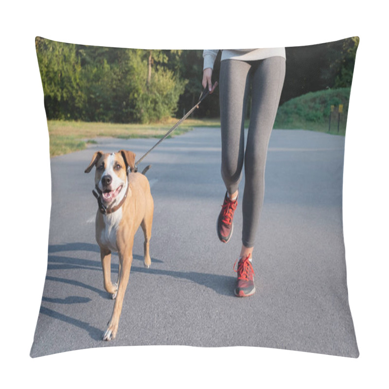 Personality  Woman In Running Suit Jogging With Her Dog. Young Fit Female And Staffordshire Terrier Dog Doing Morning Walk In A Park Pillow Covers