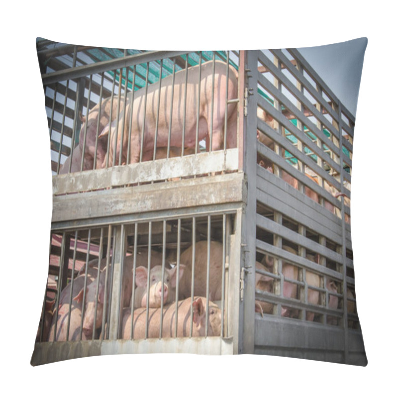 Personality  Pigs In Truck Transport  Pillow Covers