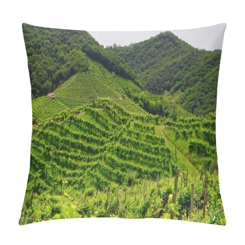 Personality  Green Hills And Valleys With Vineyards Of Prosecco Wine Region Pillow Covers