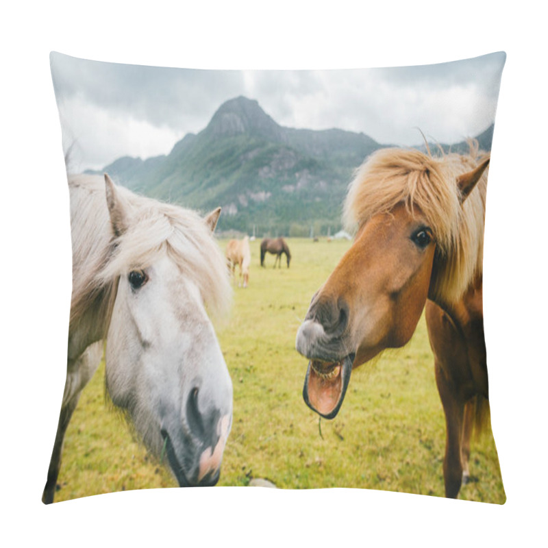 Personality  Wildlife In Norway. Scandinavian Fjord Beautiful Horses On Pasture Eat Grass On Field In Summer Rainy Weather. Cloudy Sky. Mountains On Background. Rocks. Funny Mammal Animals. Rural. Travel. Nature. Pillow Covers