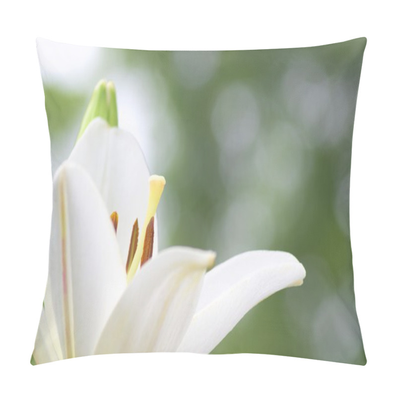 Personality  Cute White Lily Flowers Pillow Covers