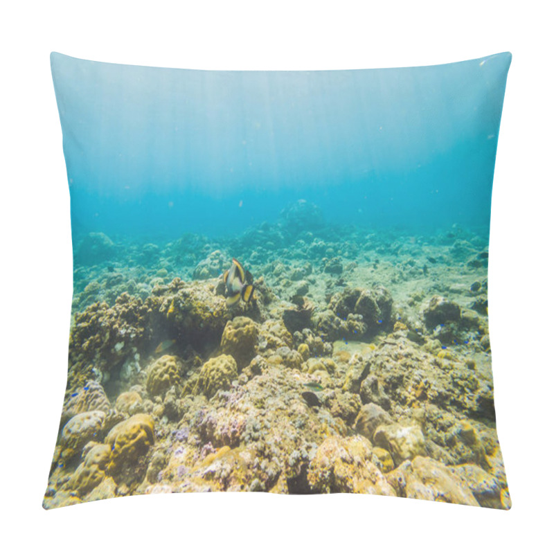 Personality  Underwater Life Landscape. Fish Shoal At Coral Reef Ocean Underwater Pillow Covers