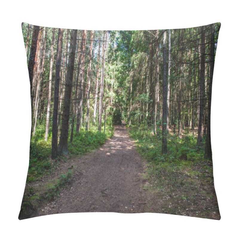 Personality  Pedestrian path in the woods among the trees. South Bohemia, Czech Republic pillow covers