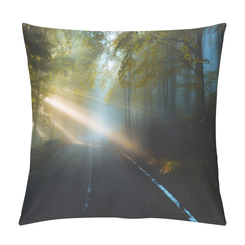 Personality  Abstract Background Of Route And Journey Amidst The Big Tree And Beautiful Nature. Sun Beams Through Tree With Amazing Light Rays On Sunrise. Pillow Covers