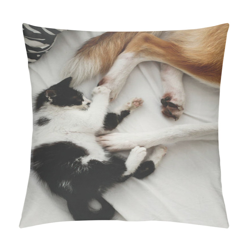 Personality  Cute Little Kitty Sitting And Big Golden Dog Playing With Paws On Bed With Pillows Pillow Covers