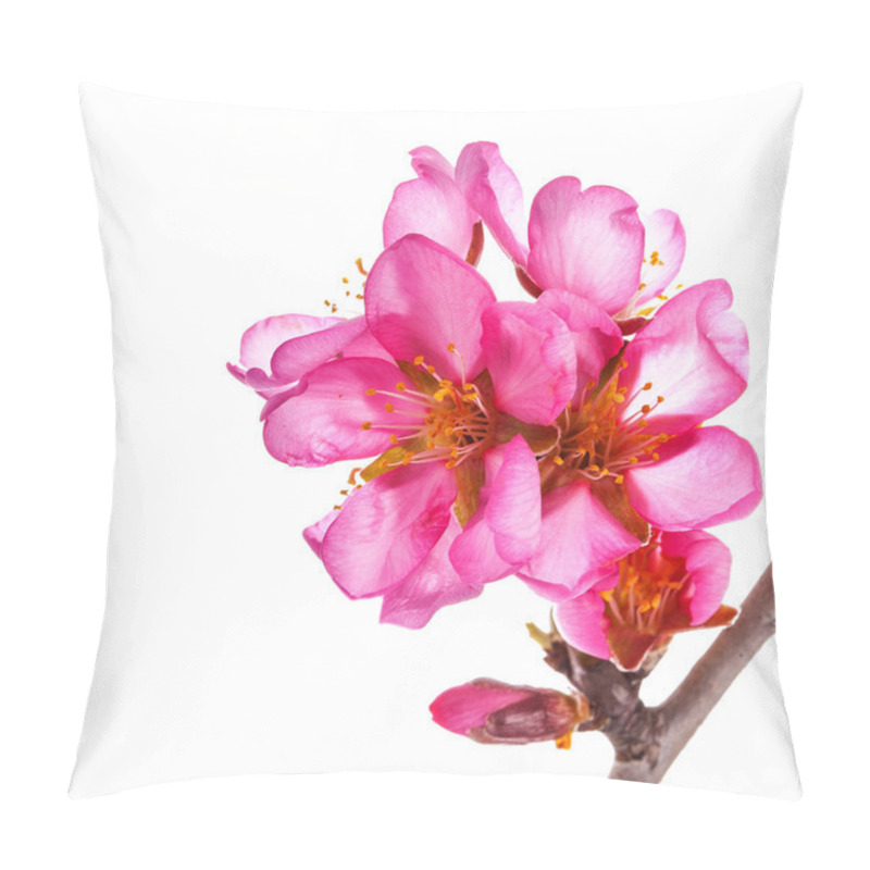 Personality  Pink Blooming Flowers Isolated On White Background Pillow Covers