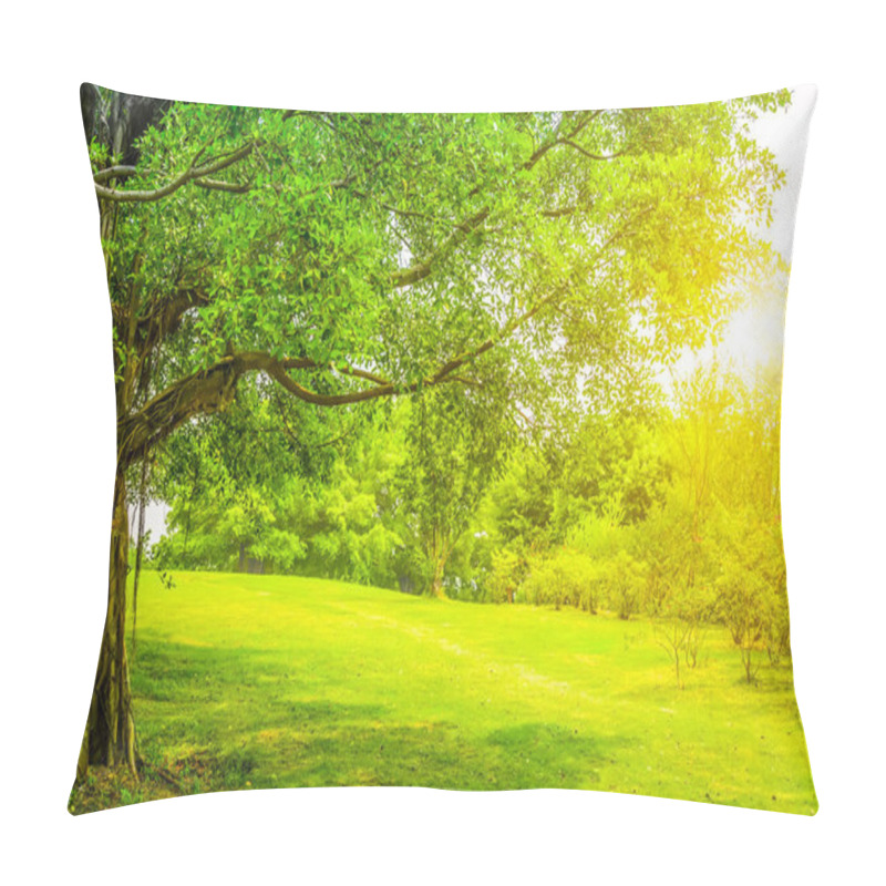 Personality  Green Trees In The Park Pillow Covers